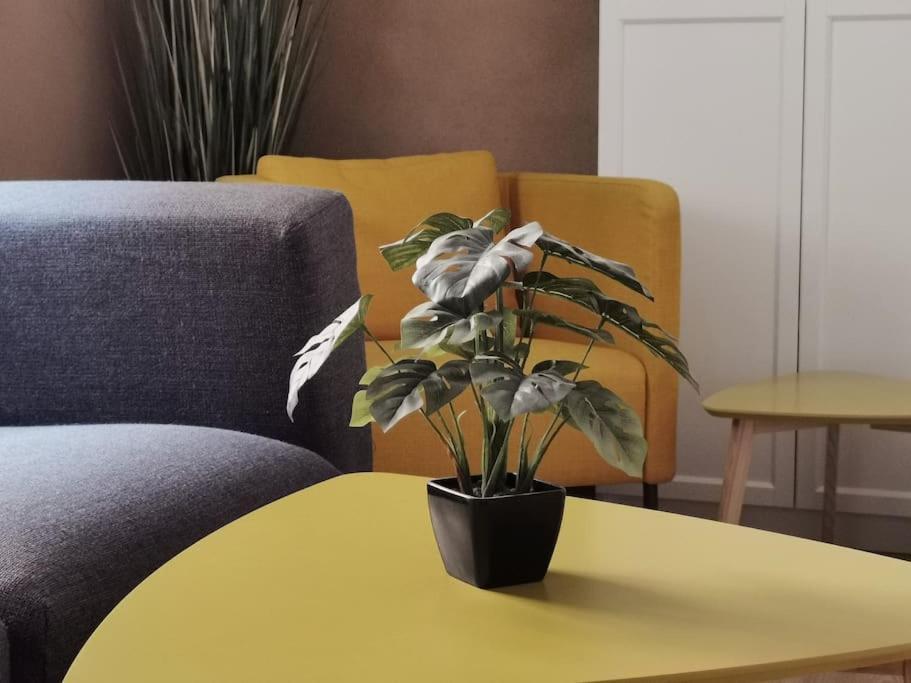 Ferienwohnung Im Bruehl Erfurt Zewnętrze zdjęcie